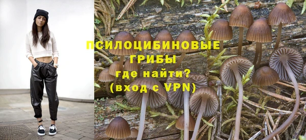 каннабис Богданович