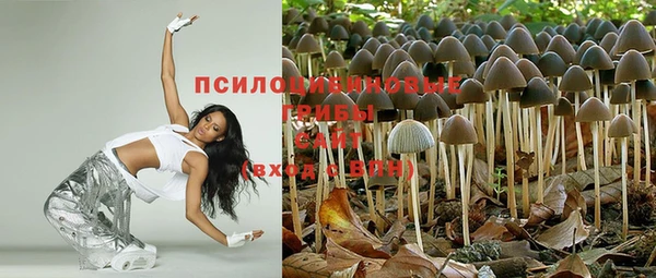 каннабис Богданович