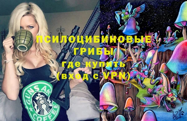 spice Белокуриха