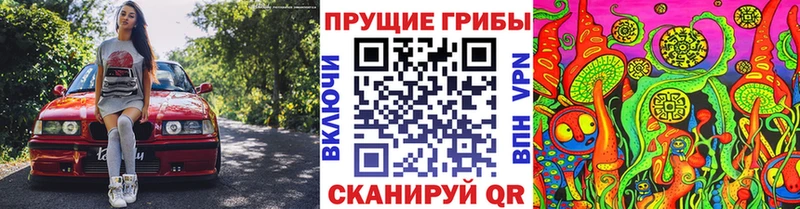 Псилоцибиновые грибы Psilocybe  где можно купить   Малая Вишера 