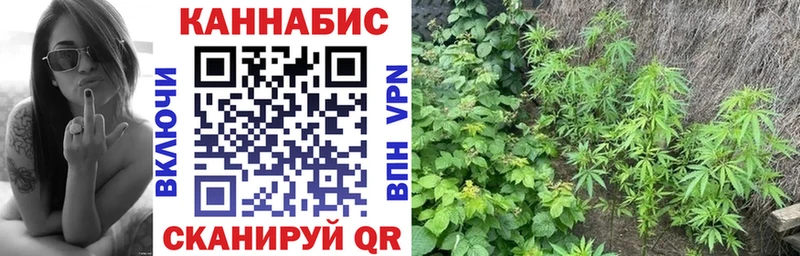 Канабис планчик  продажа наркотиков  Малая Вишера 
